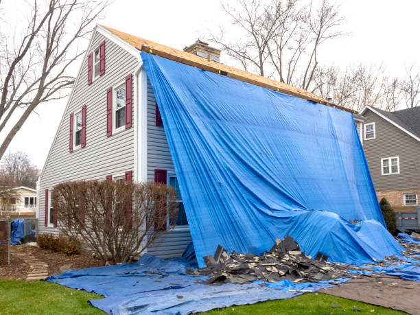 Best Siding Painting and Refinishing  in Groveville, NJ